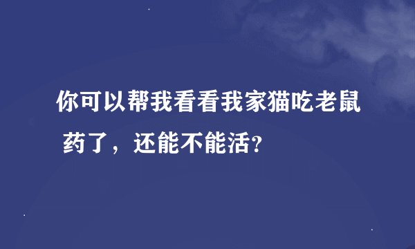 你可以帮我看看我家猫吃老鼠 药了，还能不能活？