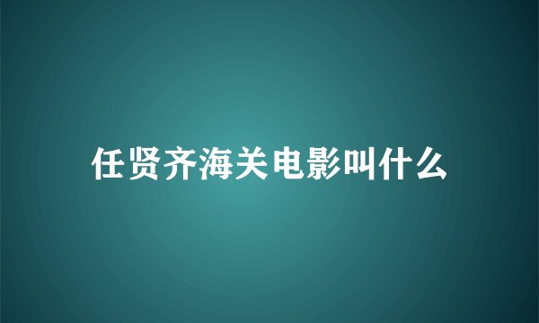 任贤齐海关电影叫什么