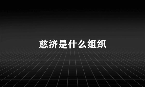 慈济是什么组织