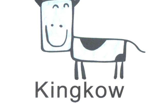 安踏公司旗下还有哪些品牌