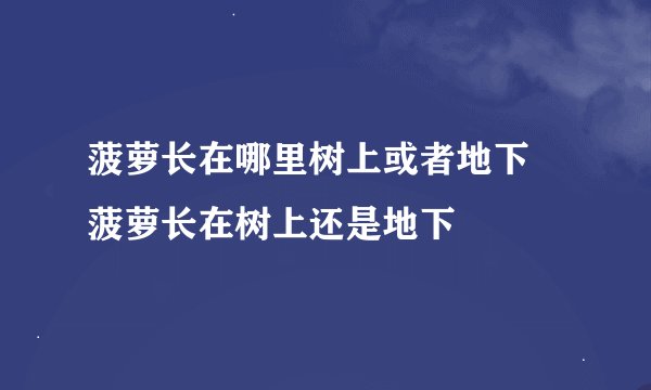 菠萝长在哪里树上或者地下 菠萝长在树上还是地下