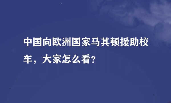中国向欧洲国家马其顿援助校车，大家怎么看？