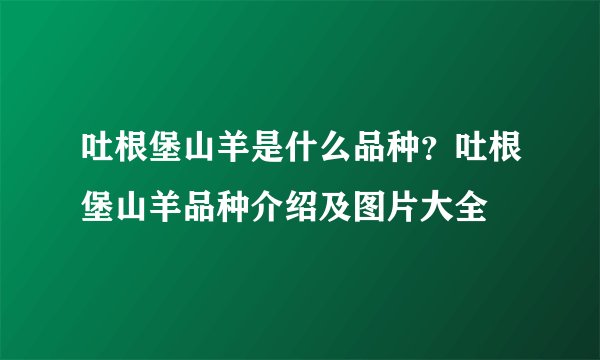 吐根堡山羊是什么品种？吐根堡山羊品种介绍及图片大全