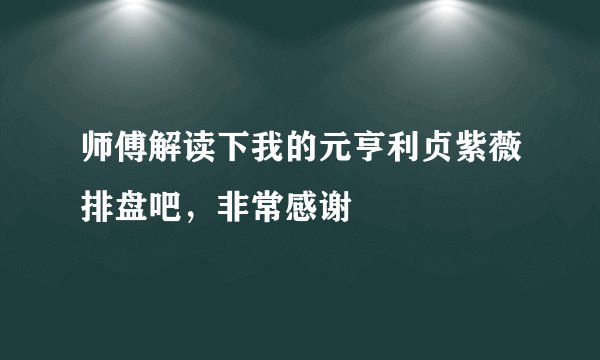 师傅解读下我的元亨利贞紫薇排盘吧，非常感谢