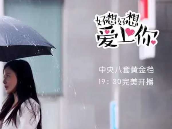 孙菲菲演的全部电视剧