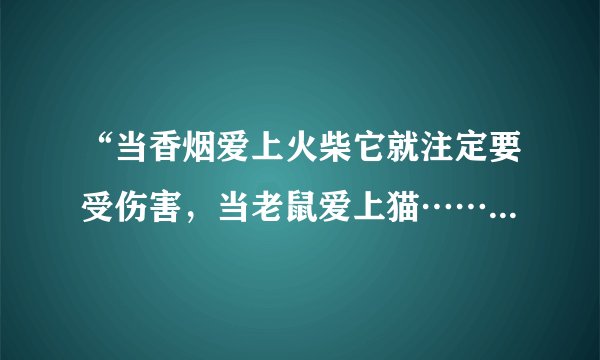 “当香烟爱上火柴它就注定要受伤害，当老鼠爱上猫……”这是什么歌里的歌词啊