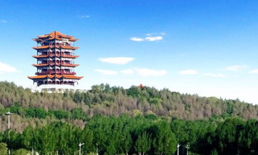 宝清县教育局电话