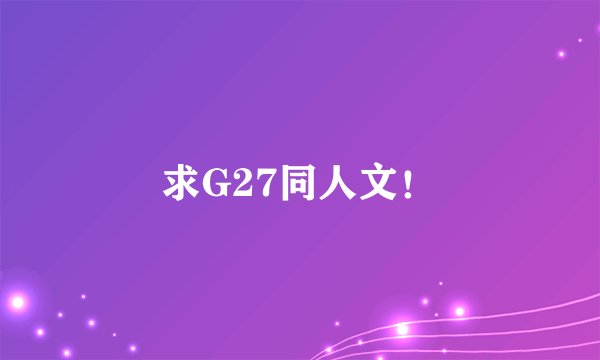 求G27同人文！