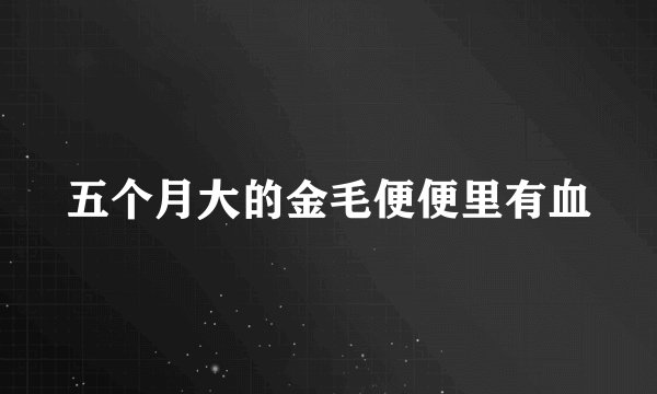 五个月大的金毛便便里有血