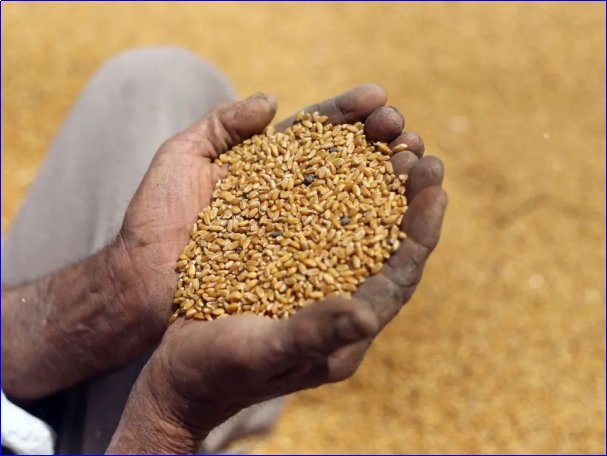 白龙王十大预言