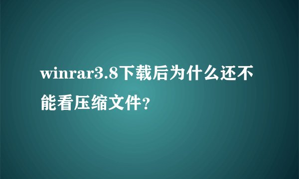 winrar3.8下载后为什么还不能看压缩文件？