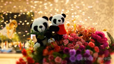 天天都是情人节那句话怎么说