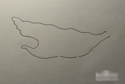 远古鲨鱼怎么画