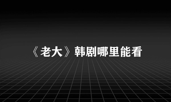 《老大》韩剧哪里能看