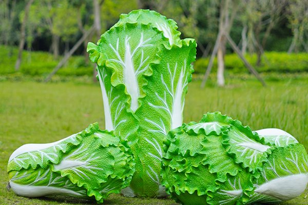 如何制作一只伪春菜