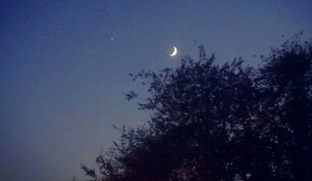 不要温和地走进那个良夜出自哪里？