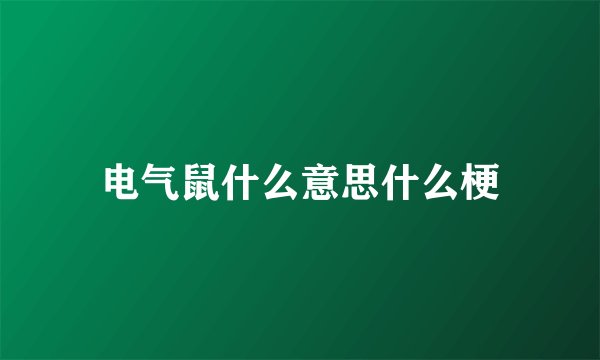 电气鼠什么意思什么梗