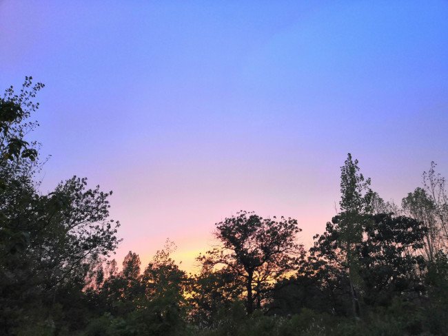 你来的时候是冬至，我来得稍稍迟。什么意思？