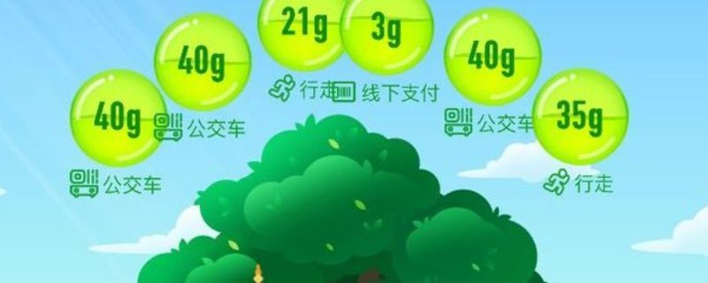 蚂蚁森林136g能量怎么获得？