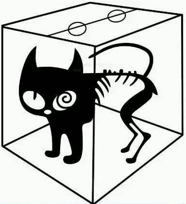 薛定谔的猫有什么哲学意义？