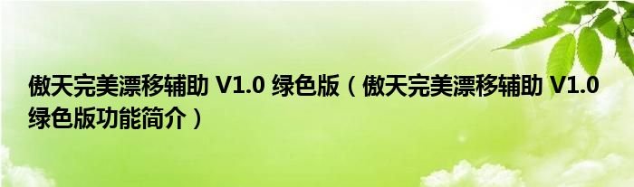 傲天完美漂移辅助V10绿色版傲天完美漂移辅助V10绿色版功能简介