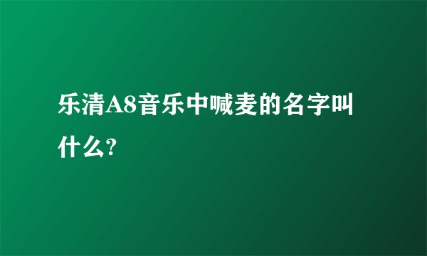 乐清A8音乐中喊麦的名字叫什么?