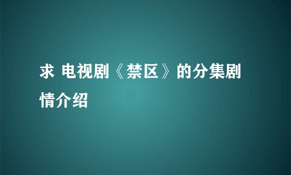 求 电视剧《禁区》的分集剧情介绍