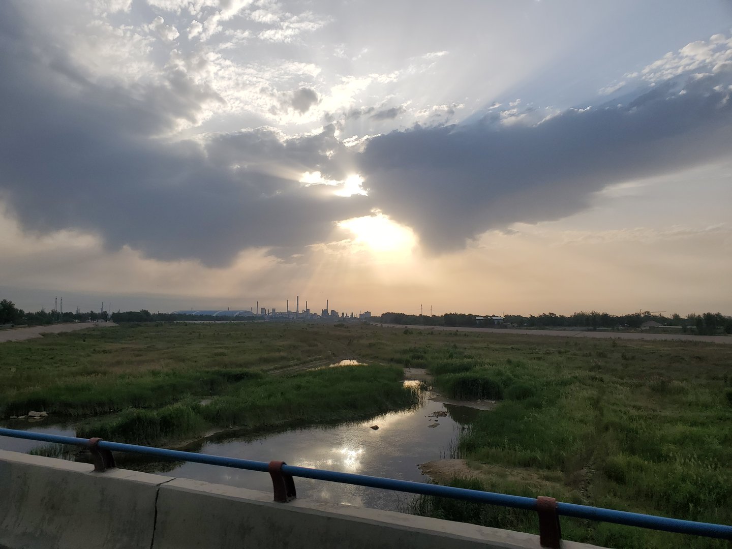 我的舍友好像喜欢我，怎么办？