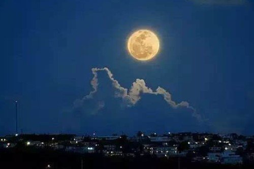 月圆夜思念情人的诗句