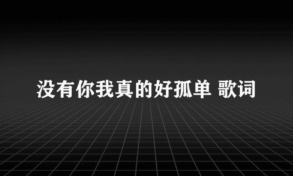 没有你我真的好孤单 歌词