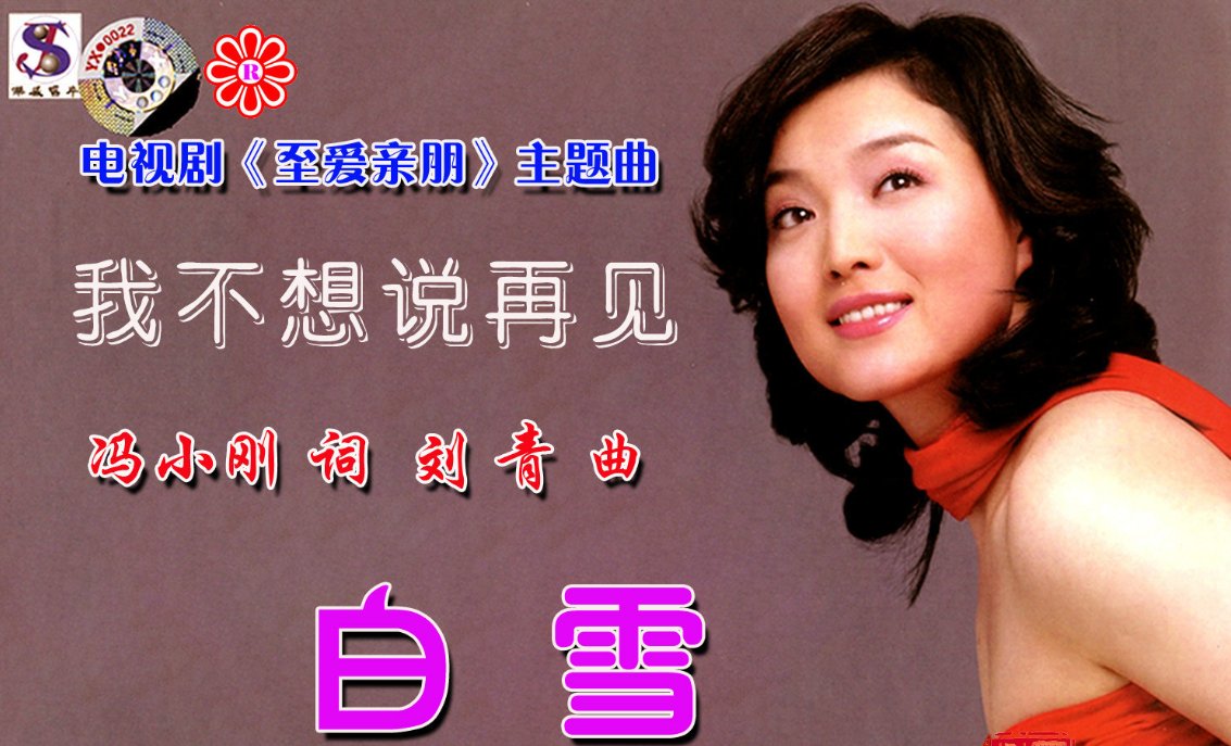 我不想说再见 歌词