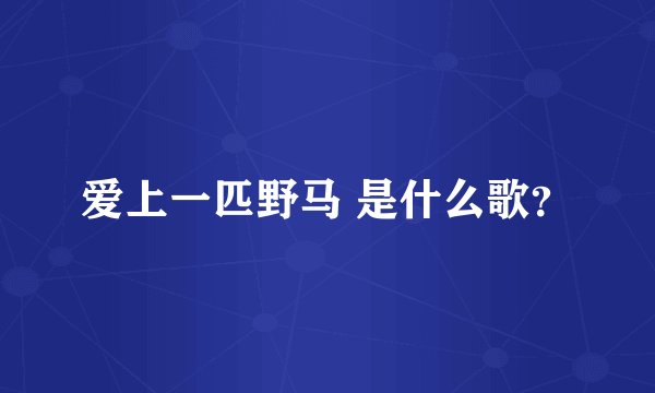 爱上一匹野马 是什么歌?