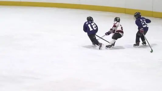 你知道哪种食物曾经被用来制作滑冰场的冰面吗？