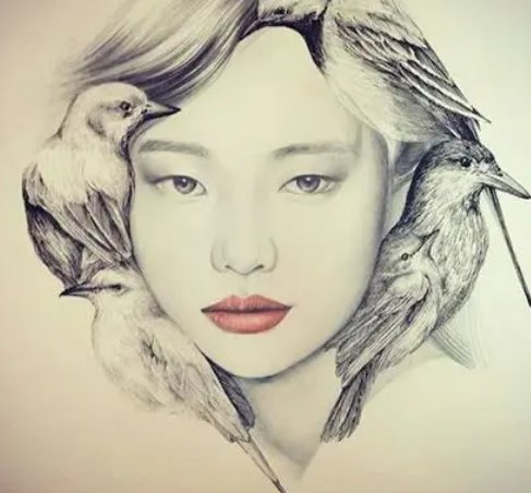 《小鸟与女孩》主要内容