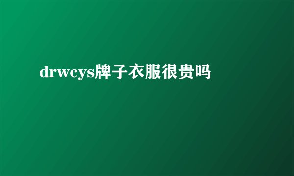 drwcys牌子衣服很贵吗