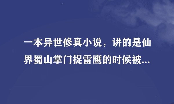一本异世修真小说，讲的是仙界蜀山掌门捉雷鹰的时候被雷劈到异世，附身在一个刚想强奸公主而未遂的人身上