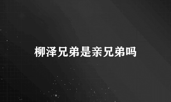 柳泽兄弟是亲兄弟吗