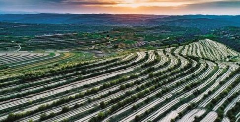 《山海情》中出现了“吊庄”一词，它是什么意思呢？为什么都不愿去？