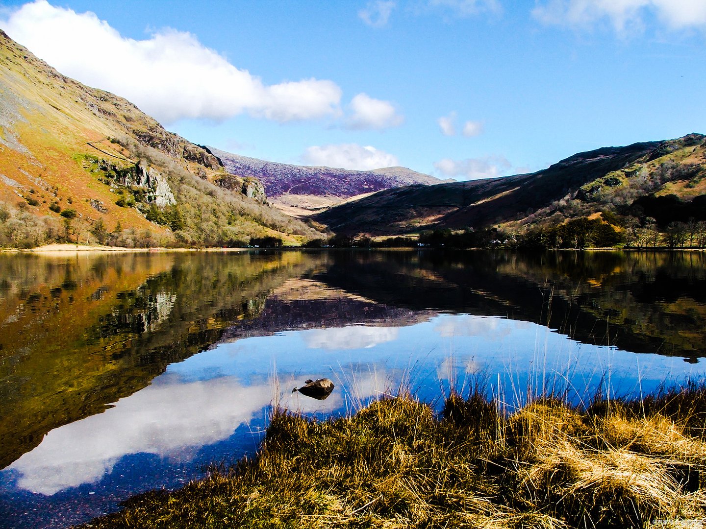 今晚3d十拿九稳的出号是多少