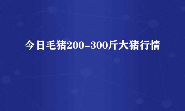 今日毛猪200-300斤大猪行情