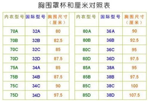 36d胸围是多少cm?
