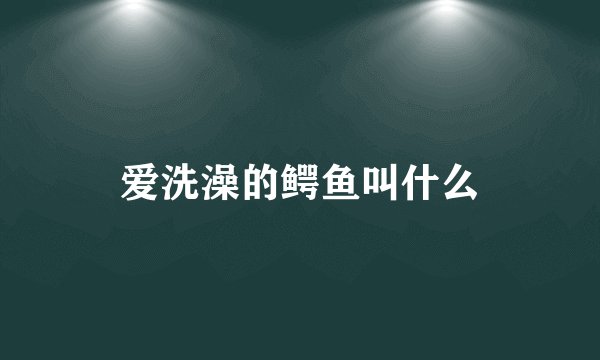 爱洗澡的鳄鱼叫什么