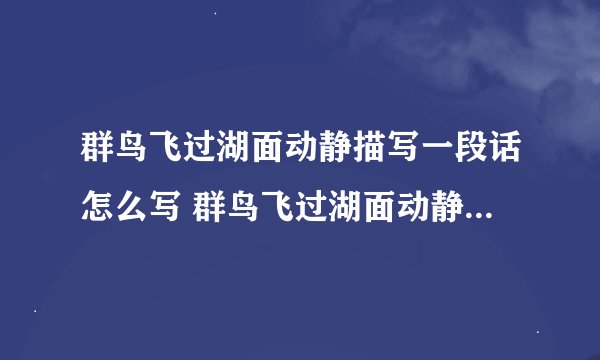 群鸟飞过湖面动静描写一段话怎么写 群鸟飞过湖面动静描写一段话