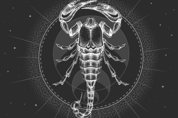 11月6日是什么星座的