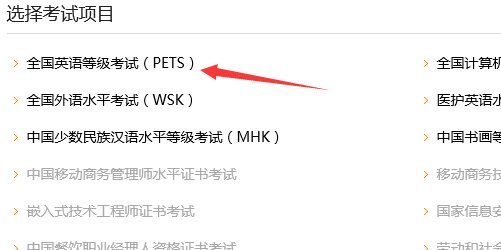 如何查英语A级考试成绩？
