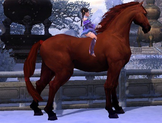 剑网三各个主城2w金的马都是什么样子的？还有什么办法可以获得漂亮的马