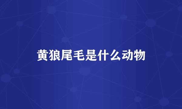 黄狼尾毛是什么动物