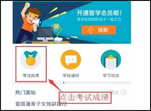 如何在手机上查看小学生的成绩？
