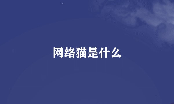 网络猫是什么