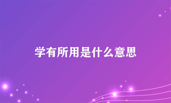 学有所用是什么意思
